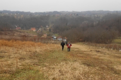 DSCN2001
