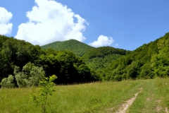 6b