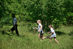IMG-20260608-WA0174