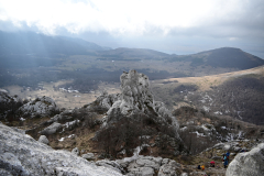IMG-20250126-WA0013
