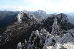 IMG-20250126-WA0015