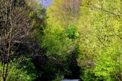 DSC_0013
