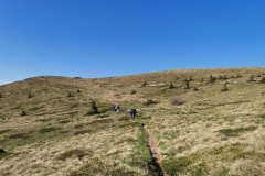 IMG_20210605_081336