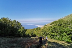 IMG_20210605_085443