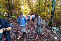 IMG_20201025_103024