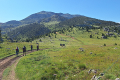 20260531_085657