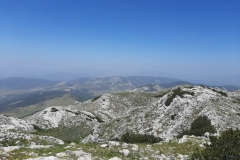 IMG-20210622-WA0012