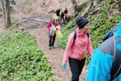 IMG-6f0bcda42cd869888977158c06802ed6-V