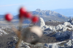 fotonatjecaj2014_ (14)