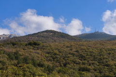 IMG_20260926_101935