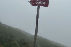 1685992465136