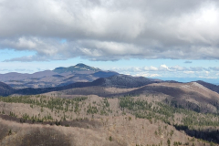 IMG-20240421-WA0019