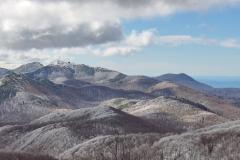 IMG-20240421-WA0020