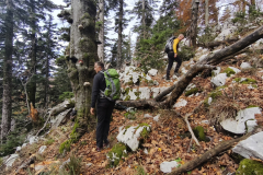 IMG_20261025_110859