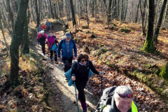 IMG-1baf02e376222663c382d773ac4427bc-V