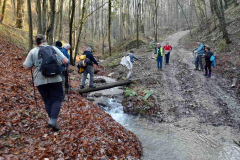 IMG-e3d80a1c4fcbb50e9e1a2f20374e3d8e-V