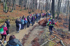 IMG-3c9476832d24e87ef83db916791ae1a6-V