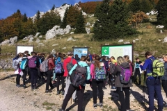 IMG-0d687ead9748c5b650205cf5730c8f56-V