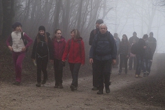 izletml012014_3