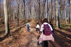 image11