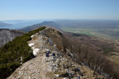 ucka2013_5