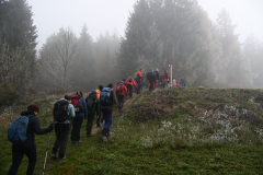 IMG-20241117-WA0015