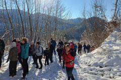 IMG-2d362ea04b67783c859a836305a23e00-V