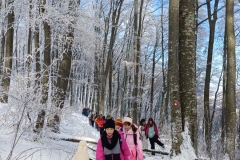 IMG-4288e3fbbbf759393920aec8bf3dd92e-V