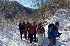 IMG-67185b29f99fa67dc749544a47bdd631-V