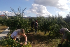 IMG-7c1dc2d6195ce8901777733d3aaa0f40-V