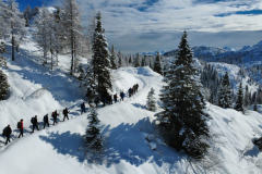 IMG-20260215-WA0004