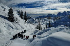 IMG-20260215-WA0010