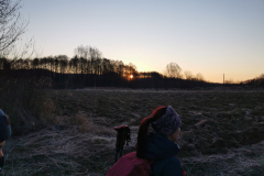 IMG_20220313_063136