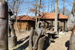 IMG_20220313_094500