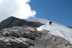 marmolada-kanin26