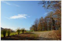 martinje2019_6