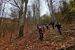 IMG_20221105_101612