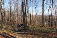 IMG_20220212_100556