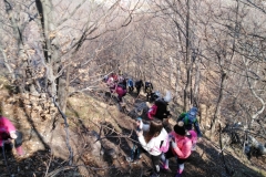 IMG_20210327_095936