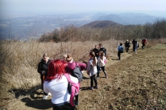 IMG_20210327_105707