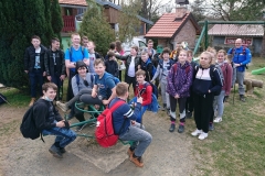 image12
