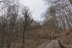 IMG_20230305_103721