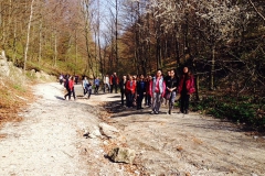 belecgrad2014a