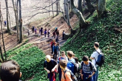 belecgrad2014c