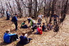 belecgrad2014d