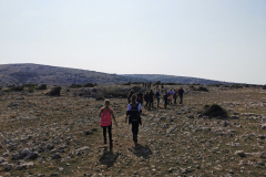 IMG_20221016_115532