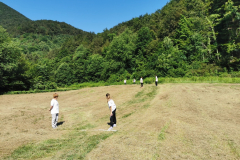IMG_20220612_093606_1