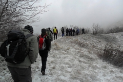 SAM_0574