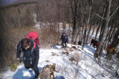 IMG_20210321_123435