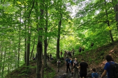 IMG_20210612_131217